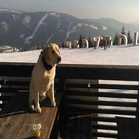 Karolína 3* Špindlerŭv Mlýn
