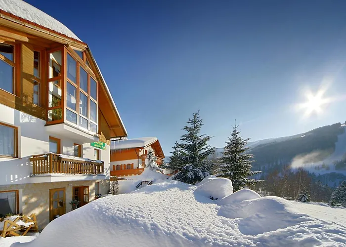 Karolina ゲストハウス